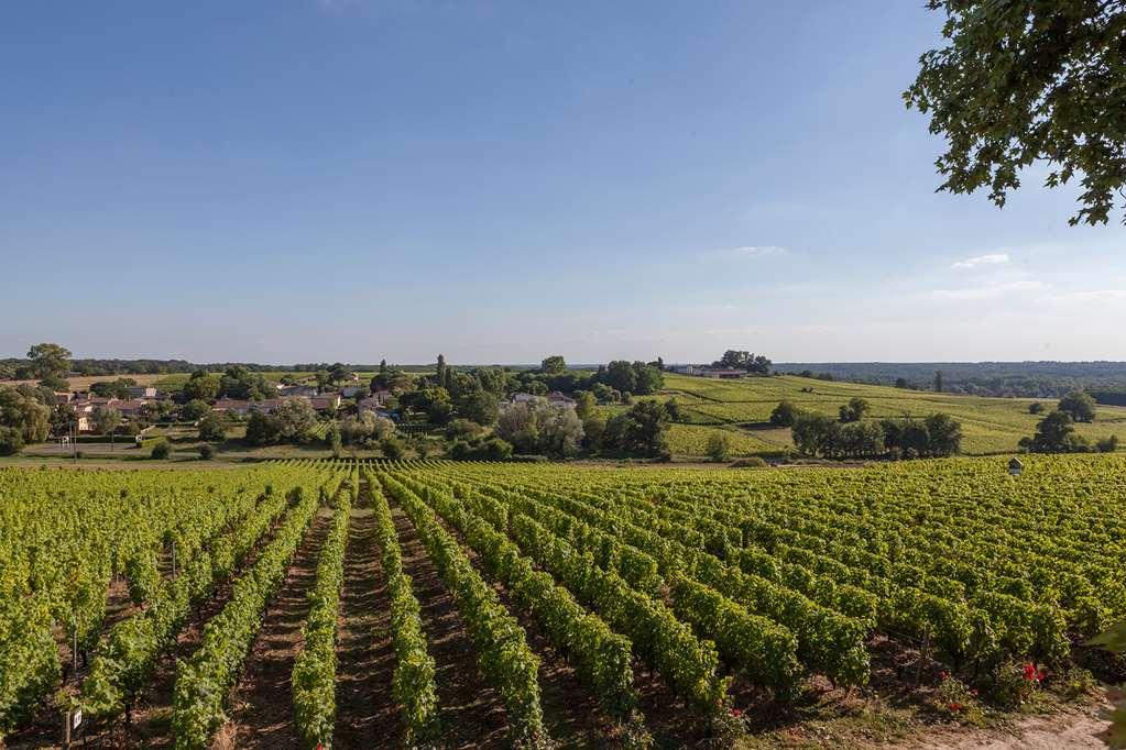 Hotel du Château d'Arche, Grand Cru Classé de Sauternes Servizi foto