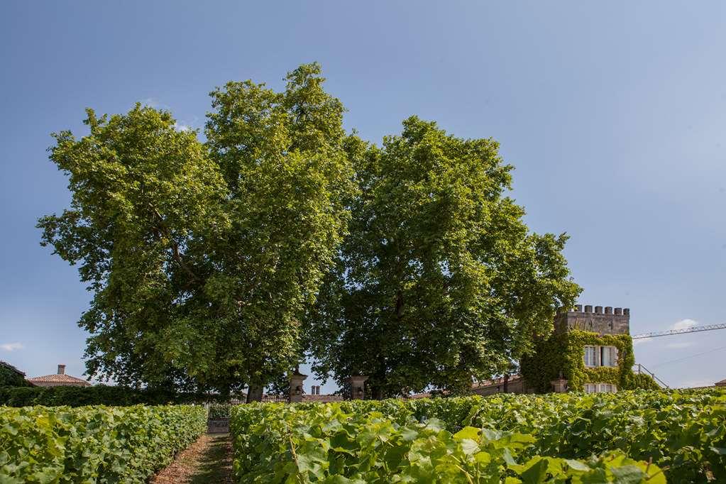 Hotel du Château d'Arche, Grand Cru Classé de Sauternes Servizi foto