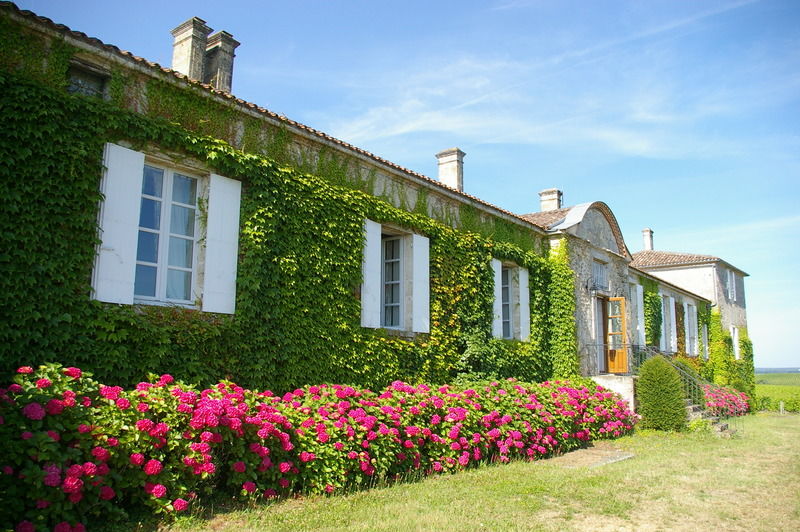 Hotel du Château d'Arche, Grand Cru Classé de Sauternes Esterno foto