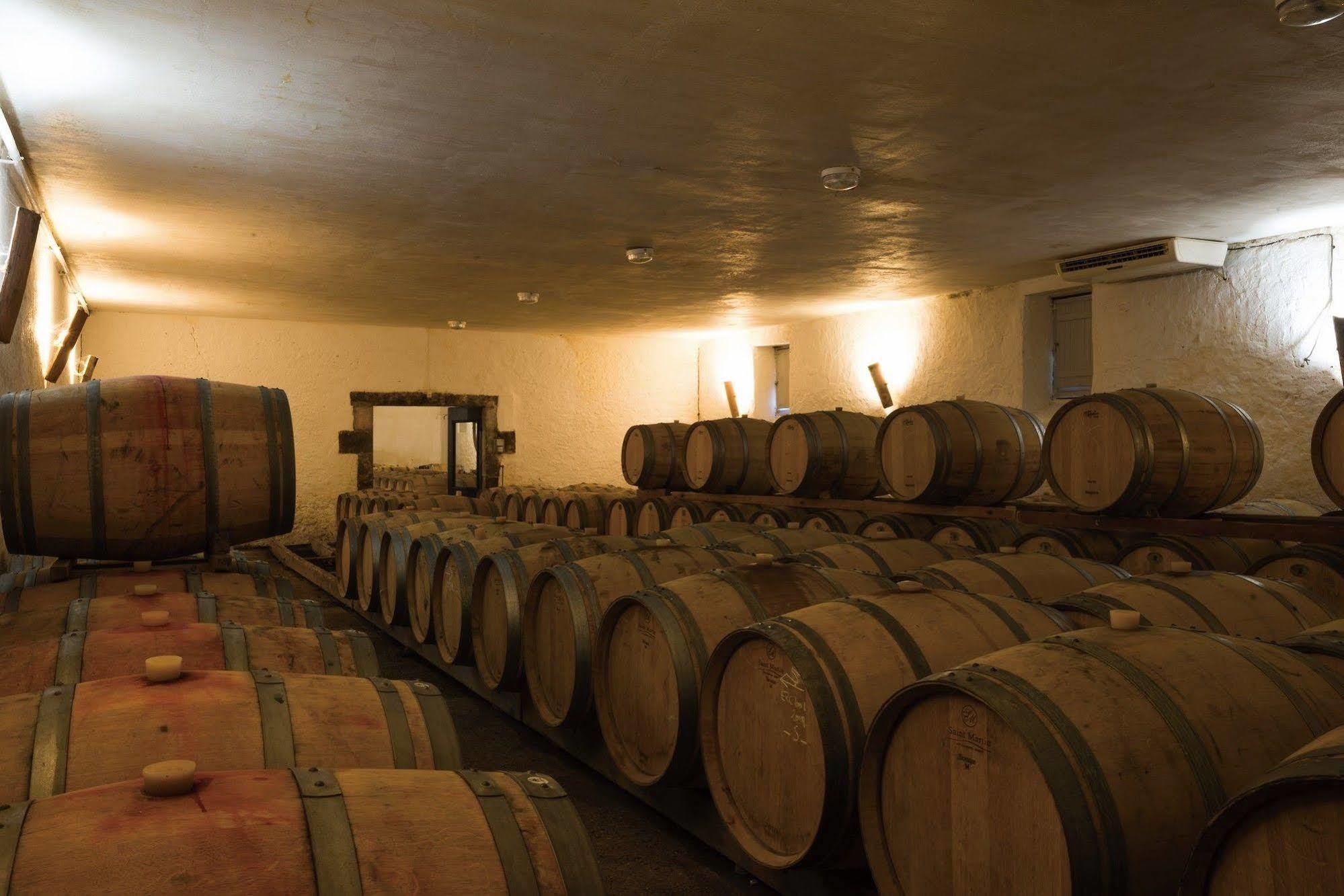 Hotel du Château d'Arche, Grand Cru Classé de Sauternes Esterno foto